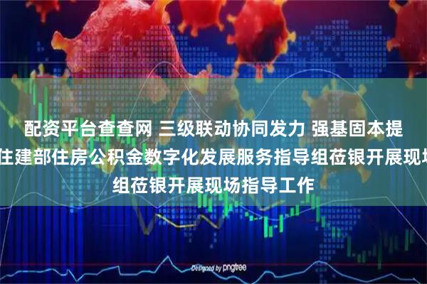 配资平台查查网 三级联动协同发力 强基固本提质增效——住建部住房公积金数字化发展服务指导组莅银开展现场指导工作
